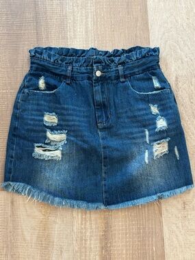 Hayden Denim Mini Skirt